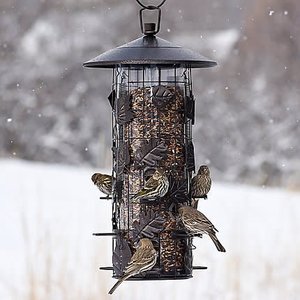 Squirrel Be Gone Feeder
