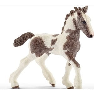 Tinker Foal
