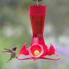 Plastic Hummingbird Feeder