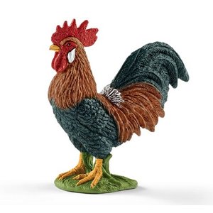 Rooster