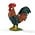 Rooster