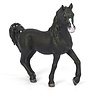 Arab Stallion (Black)