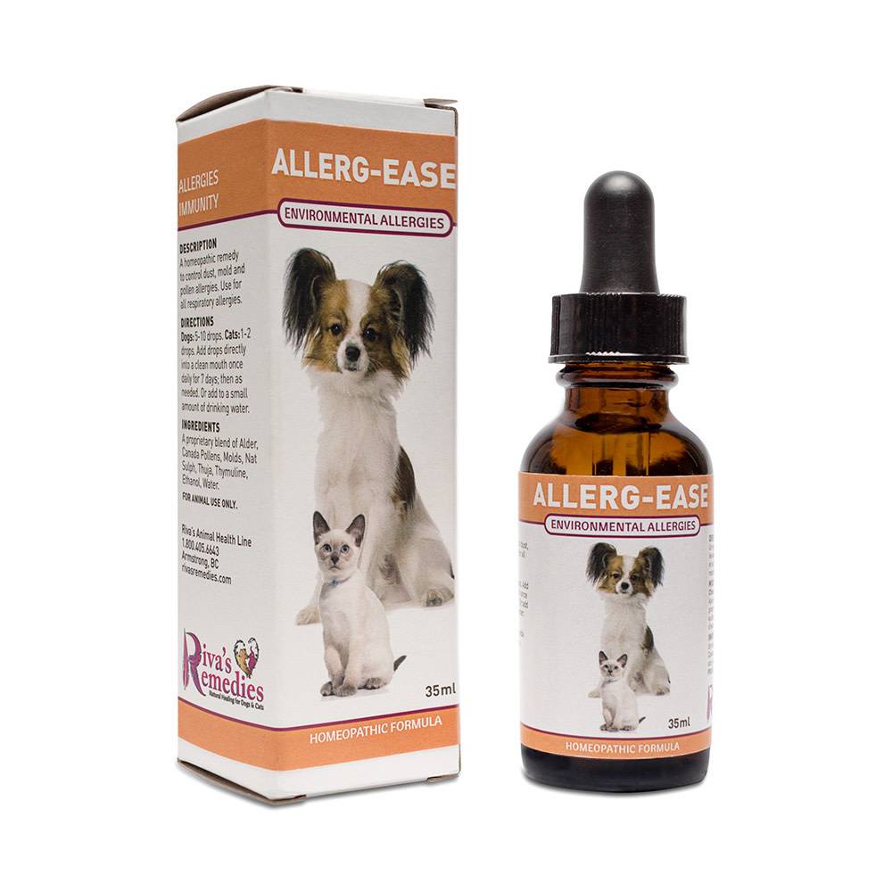 Homeopathic allergy relief for clearance dogs