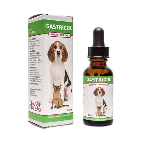 are homeopathic remedies safe for dogs