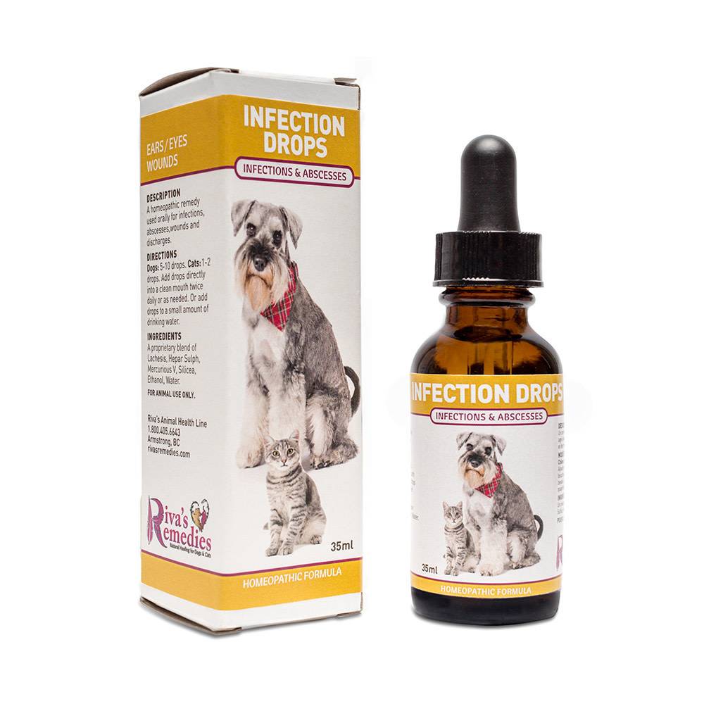 are homeopathic remedies safe for dogs