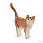 Orange Cat