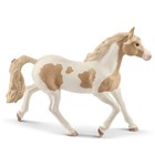 Paint Mare