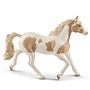 Paint Mare