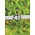 Patriot Patriot 1/2' tape to 1/2' tape Joiner Buckle