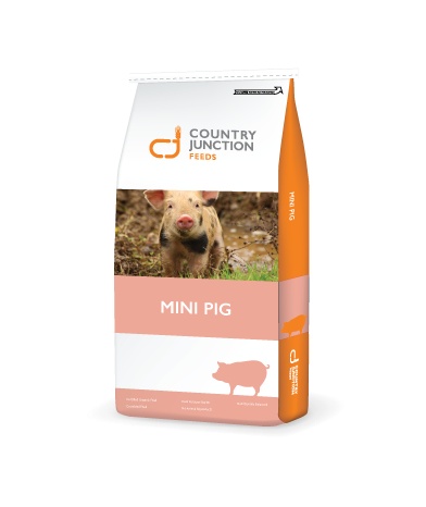 Mini 2025 pig food