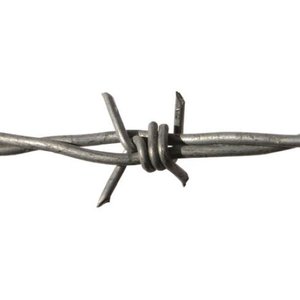 Barbed Wire