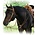 Leather Sliding Fork Martingale