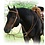 Leather Sliding Fork Martingale