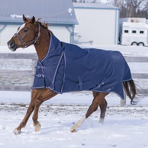 Olympus Canadian Horsewear Rainsheet