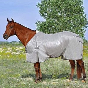 Cashel Economy Fly Sheet