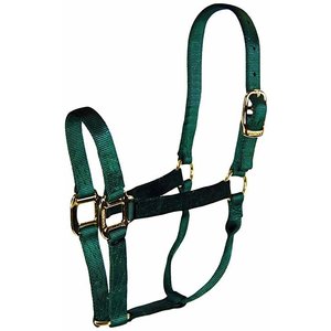 Hamilton Yearling Halter