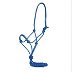 Hi-Brow Rope Halter w/ Lead