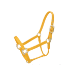 Hi-Brow Horse Halter