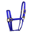 Hi-Brow Large Horse Halter