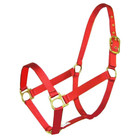 Hi-Brow Colt Halter