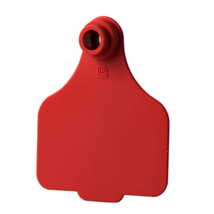 Leader Large Tags (25pk)