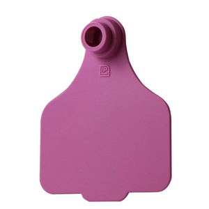 Leader Large Tags (25pk)