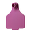 Leader Large Tags (25pk)