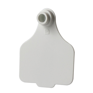 Leader Large Tags (25pk)