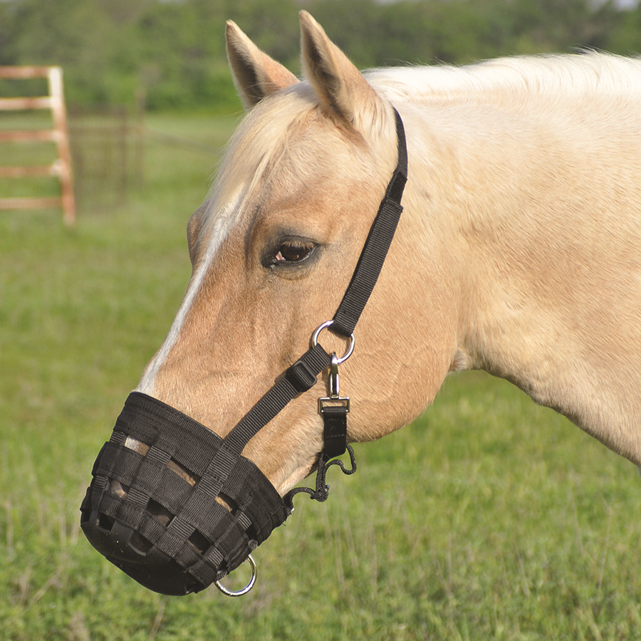 Pony Horse Halter Grazing Muzzle Prevent Over-eating Feed Horse 