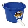 8qt Calf Pail w/ Nipple