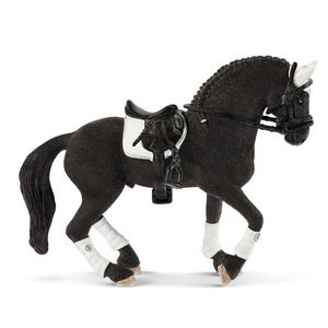 Friesian Stallion Riding Tournament