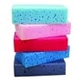 Equine Essentials Grooming Sponges, PKG/10