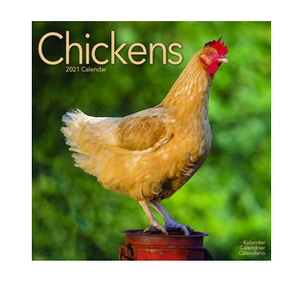 Chickens Wall Calendar 2022