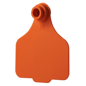 Leader Large Tags (25pk)