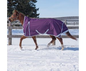 Canadian Horsewear Denali Rainsheet - North Forty Feed & Farm Supply
