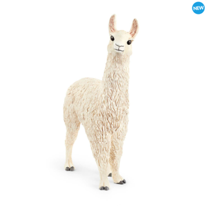 Alpaca