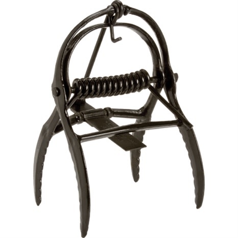 Mole traps deals