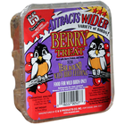 Suet Cake Berry Treat