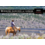 2025 Working Ranches of Canada Calendar