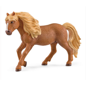 Icelandic Pony Stallion