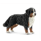 Bernese Mountain Dog