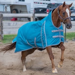 Canadian Horsewear Meridian Storm 160gm Blanket