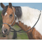 Deluxe Bitless Bridle