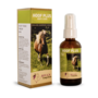 Riva's Remedies Hoof Plus +