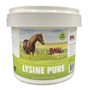Basic Lysine 1kg