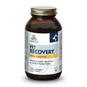 Purica Recovery SA Chewable Tablets