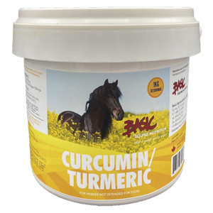 Basic Curcumin/Tumeric, 500g