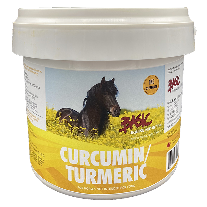 Tureric Suppleent For Horses At Laurence Drake Blog - View #9