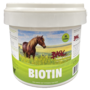 Basic Biotin