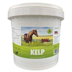 Basic Kelp 1kg